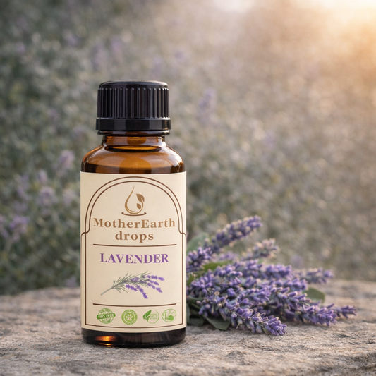 Lavendel